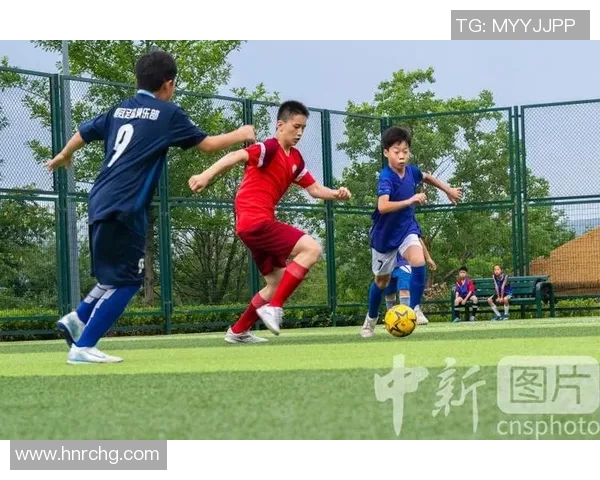 芜湖奥体足球明星的崛起与成就揭秘及其对地方足球的影响