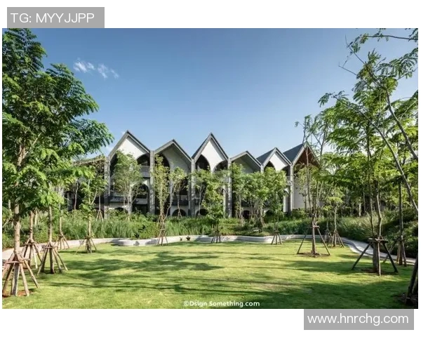 足球明星蚂蚁森林的神秘地点揭秘与探索之旅